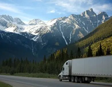 Shipping and Delivery