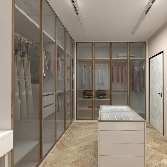 Walk in closet systems tempered glass door-GW-026