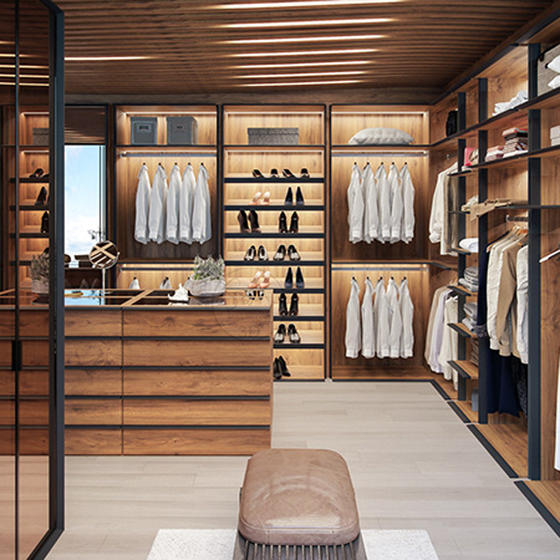 Walk in closet tempered door-GW-035