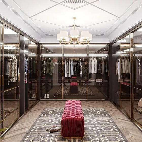 Walk in closet design tempered glass door-GW-005