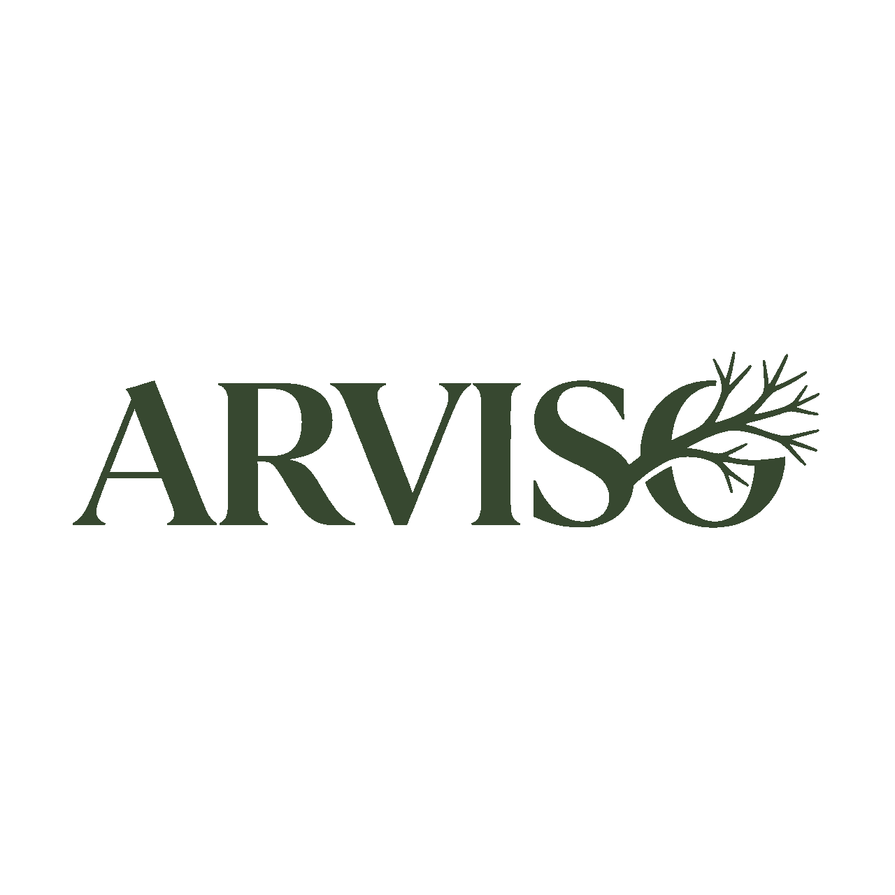 ARVISO